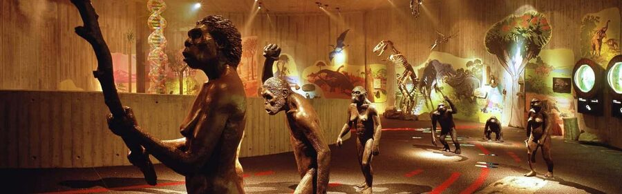 From Zagreb:Discover North Croatia, Museums, Castle and City - Krapina Neanderthal Museum: a strong first stop