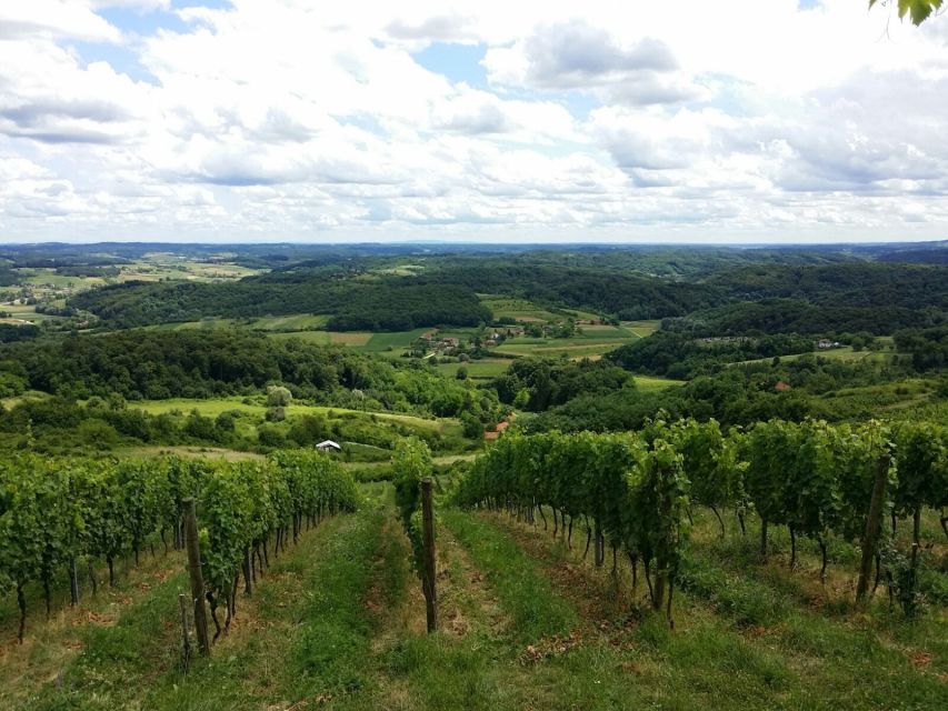 From Zagreb: Fairytale Castle & Wine Tasting & Lunch - Tasting four wines at Vuglec Breg