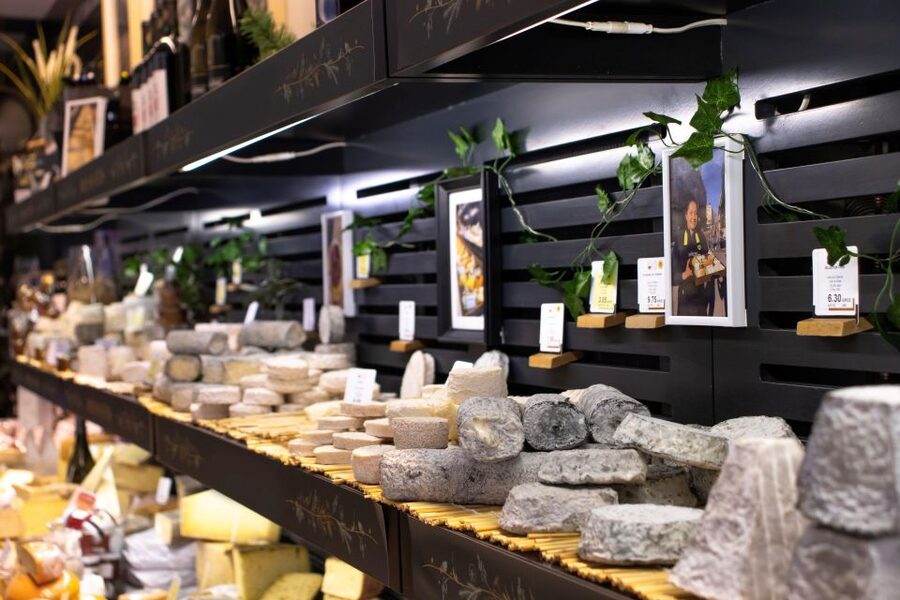 Full-Day Bordeaux gourmet tour & 2 chateau Medoc - Why this Bordeaux day works so well