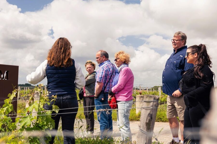 Full-Day Bordeaux gourmet tour & 2 chateau Medoc - What the small group changes