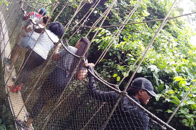 Full- Day Cape Coast Castles and Kakum Canopy Private Tour - Lunch above the sea