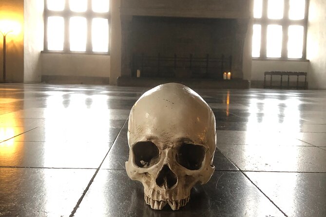 Full-Day; Castle, Palace, Cathedral & Viking ships Tour - Kronborg Castle and the real Hamlet setting