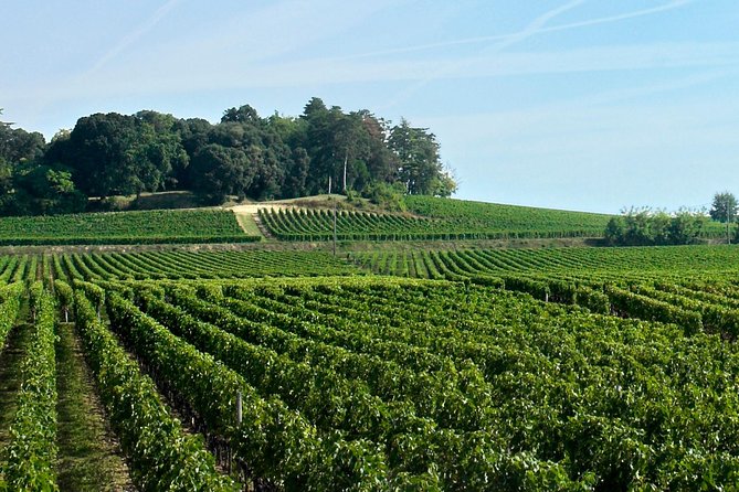 Full-day Saint-Emilion: Village, Undergrounds and Châteaux - The bilingual group and the pace of the day