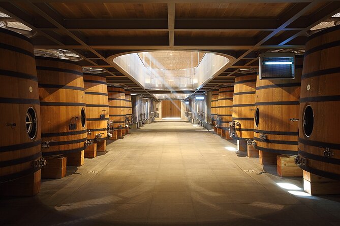 Full Day Tour Saint Emilion with lunch two Chateaux and Village - Starting at Place des Quinconces in Bordeaux