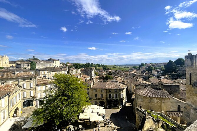 Full Day Tour Saint Emilion with lunch two Chateaux and Village - Who should book this Saint-Émilion tour?