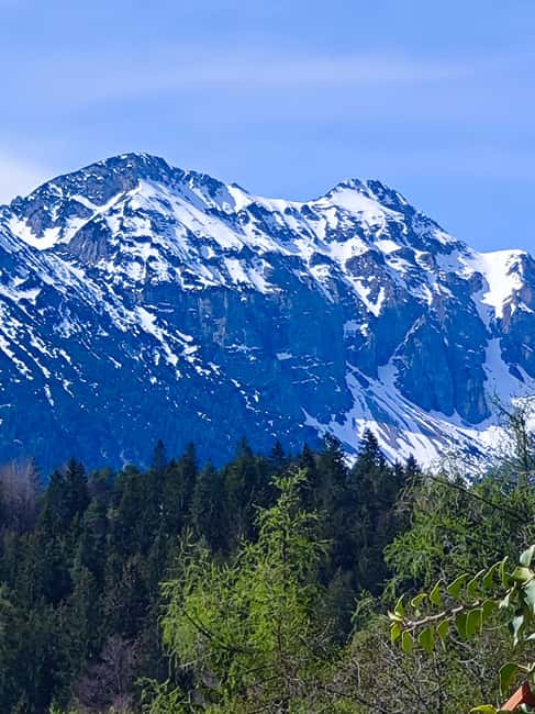Füssen to Neuschwanstein Castle - Guided Scenic Tour - What the $47 price delivers