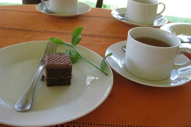 Galle Day Tour and Tea Plantation from Bentota & Other Places - Two hours inside Galle Dutch Fort
