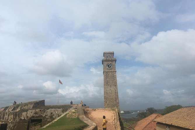 Galle Fort & boat safari & Turtles Day Trip - Sea turtles at Induruwa