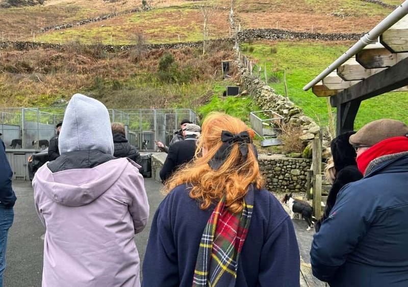 Galway: Connemara, Sheepdog Show and Medieval Castle Tour - Who will get the most from this Connemara tour?