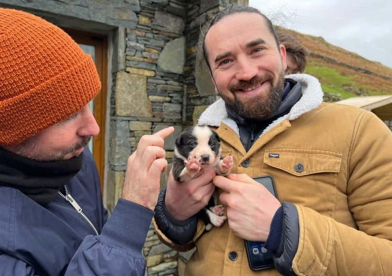 Galway: Connemara, Sheepdog Show and Medieval Castle Tour - Galway to Connemara, a day built around variety