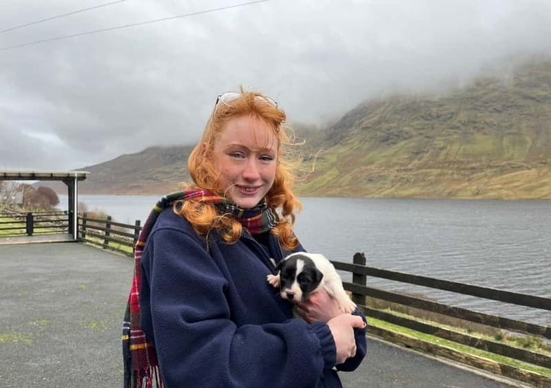 Galway: Connemara, Sheepdog Show and Medieval Castle Tour - Connemara’s mountain and lake country