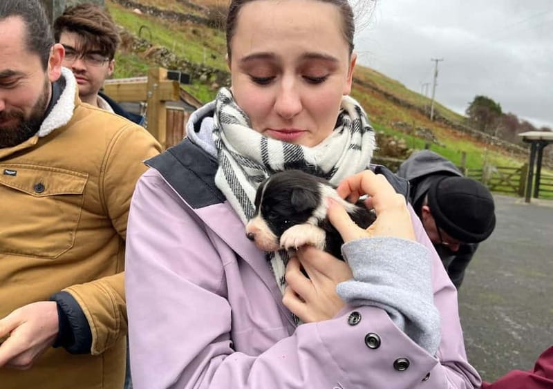 Galway: Connemara, Sheepdog Show and Medieval Castle Tour - Leenane, a small village below the mountains