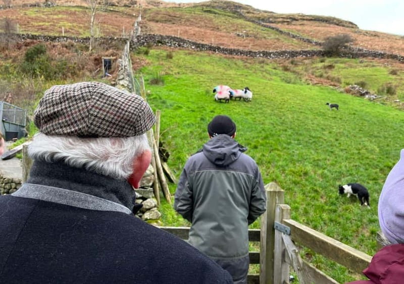 Galway: Connemara, Sheepdog Show and Medieval Castle Tour - What the guides add to the day