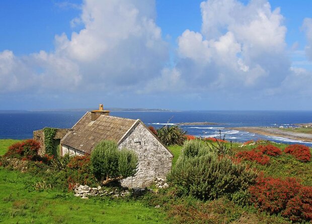 Galway to Cliffs of Moher, Aillwee Cave & Dunguaire Castle Tour - Key points at a glance