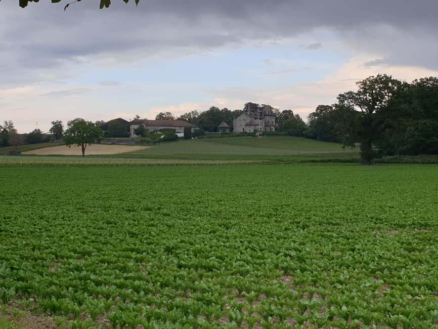 Geneva Countryside And Art Museum At A Castle Wine By E-Bike - The castle, archives, cellar, and art museum question