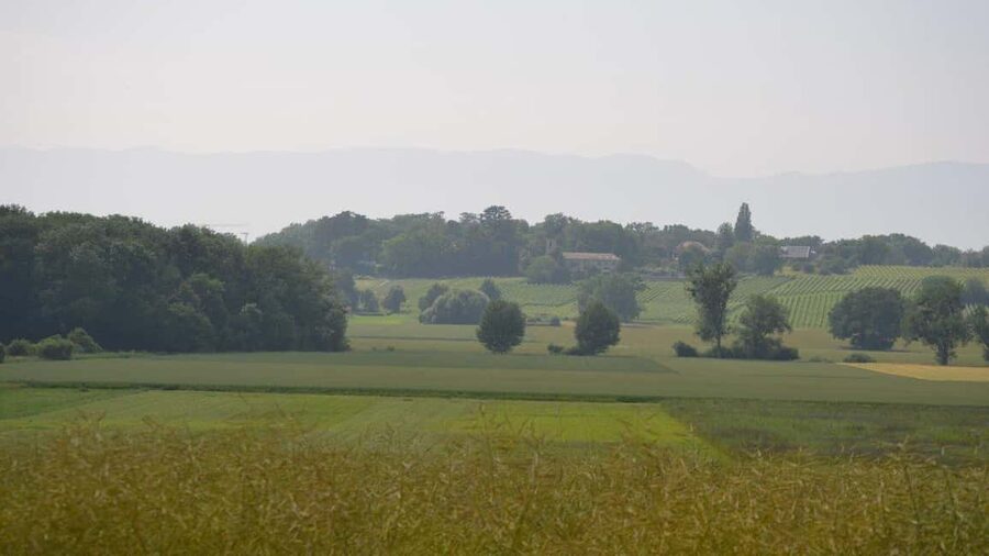 Geneva Countryside And Art Museum At A Castle Wine By E-Bike - Is $140 a fair price?