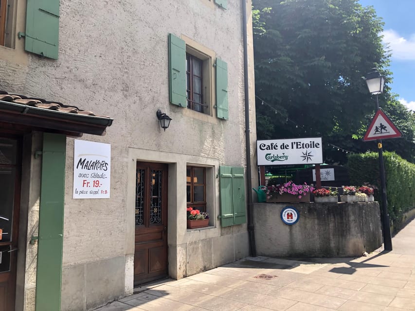 Geneva Countryside And Art Museum At A Castle Wine By E-Bike - Who will enjoy this ride most?