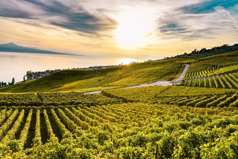 Geneva: Montreux, Chaplin’s World, Chillon Castle & Apéritif - Lavaux vineyards: beautiful views with a modest tasting