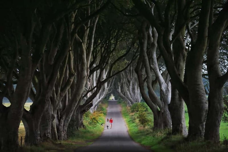 Giants causeway Irish castles & whiskey, Game of thrones - Giant’s Causeway: allow time for the rocks