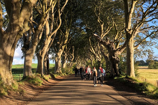 Giants Causeway, Rope Bridge, Carrickfergus Castle and Dark Hedges Tour - Dark Hedges, lunch, and the one stop that needs planning