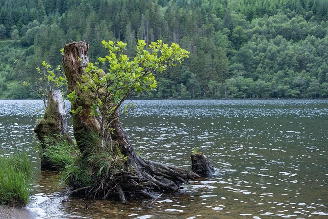 Glasgow Shore Excursion: - Loch Lomond - Stirling Castle - What the $82 price really covers