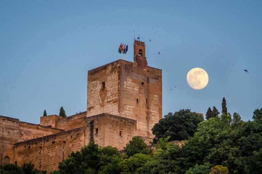 Granada: Alhambra and City Private Tour - A useful break before the city walk