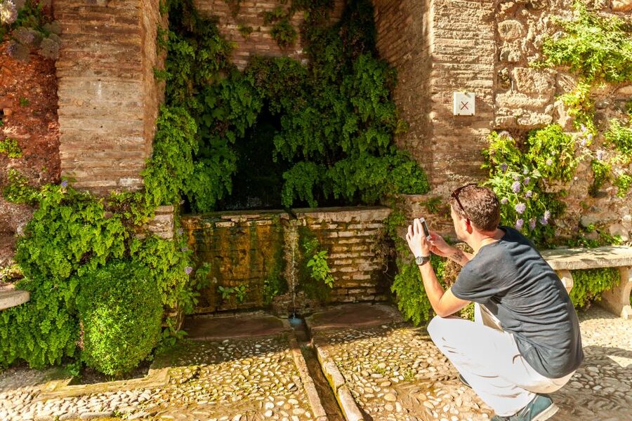Granada: Alhambra and Generalife Garden Ticket & Guided Tour - The missing Nasrid Palaces change the value