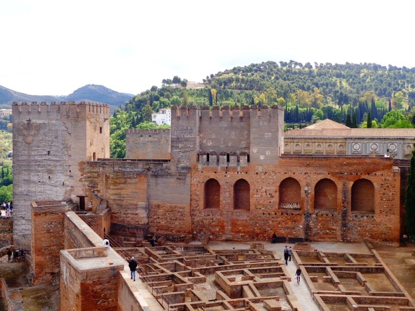 Granada: Alhambra Complex Guided Tour with Ticket - Nasrid Palaces and the art of power