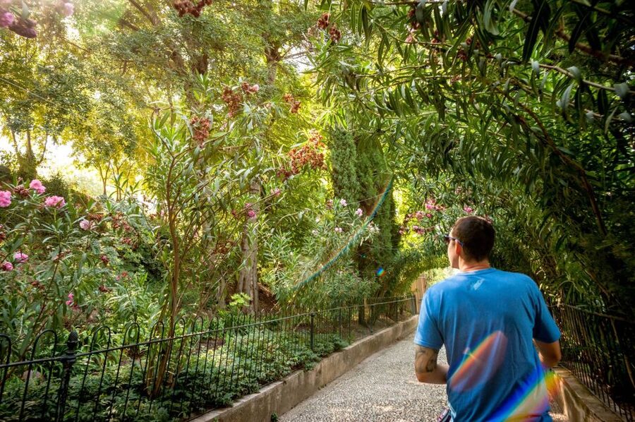 Granada: Alhambra Entry Ticket with Audio Guide - How good is the GPS audio guide?