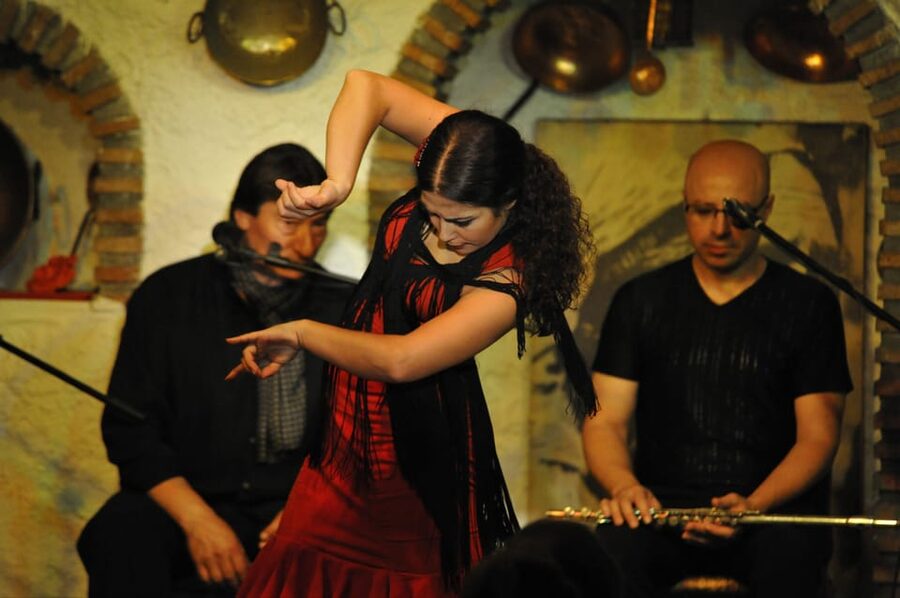 Granada: Alhambra Guided Tour and Flamenco Show - Why this pairing works in Granada