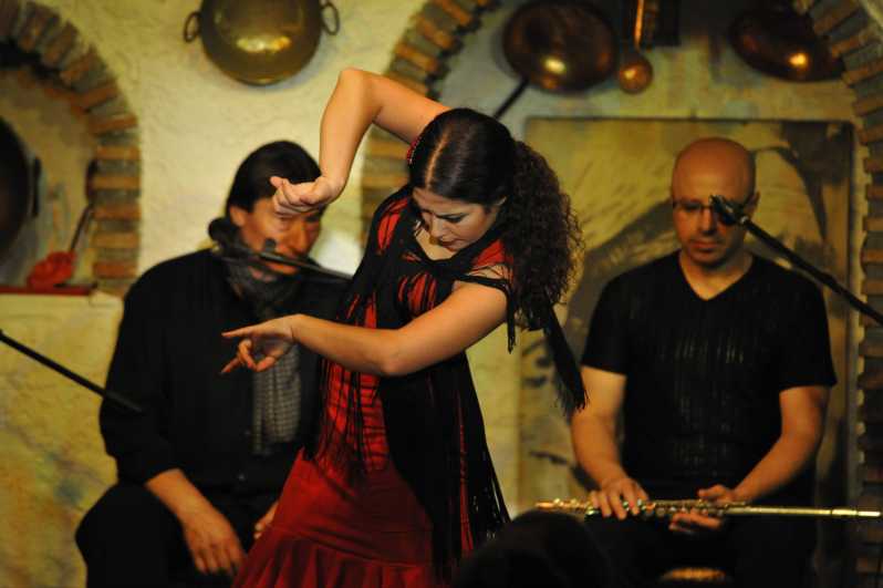 Granada: Alhambra Guided Tour and Flamenco Show - The long gap between palace and performance