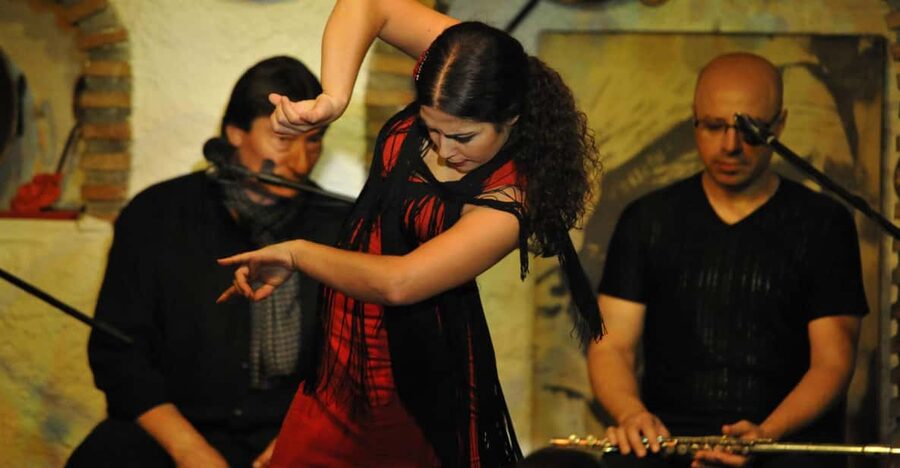 Granada: Alhambra Guided Tour and Flamenco Show - Flamenco in Cueva los Tarantos