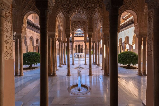 Granada: Alhambra Guided Tour including Nasrid Palaces - The guides are the heart of the experience