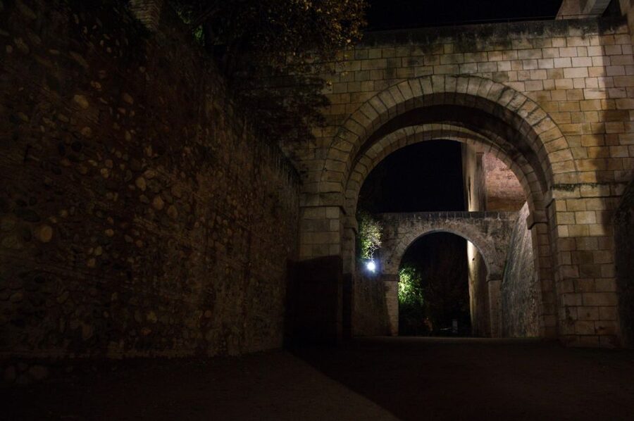 Granada: Alhambra Night Visit Entry Ticket - Choosing between Generalife and the Nasrid Palaces