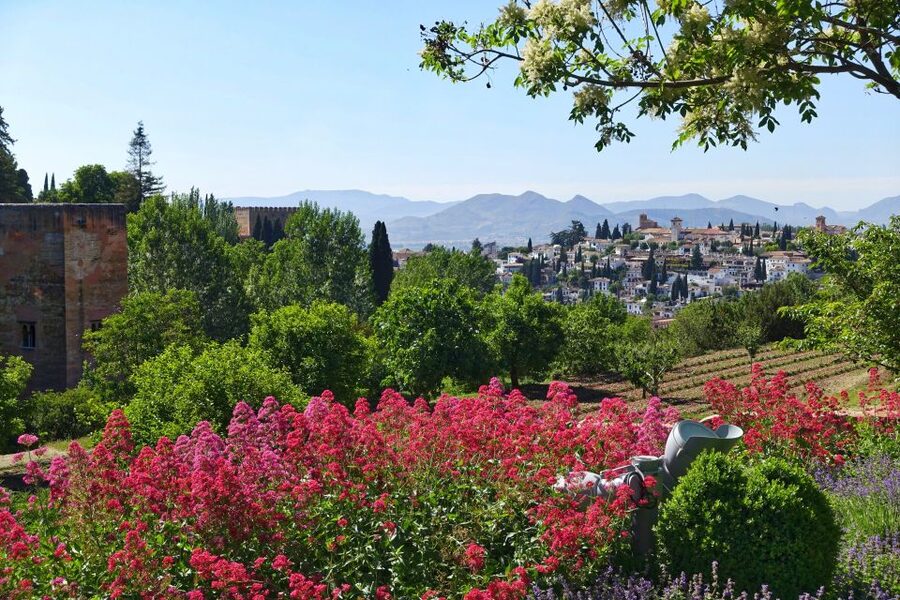Granada: Alhambra Regular Tour - Nasrid Palaces: the main event