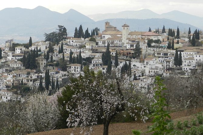 Granada Day Trip: Alhambra & Nazaries Palaces from Seville - Timing, comfort, and mobility