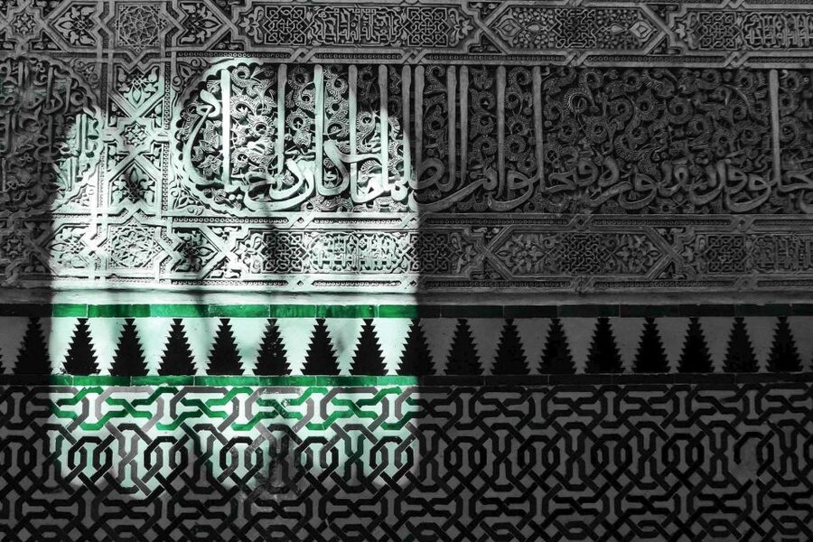 Granada: Fast-Track Alhambra & Nasrid Palaces Guided Tour - What the guide adds to the visit