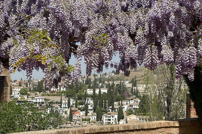 Granada : Private Alhambra Tour + Nazaries Palaces (VIP) - Ticket rules and the risk of last-minute changes