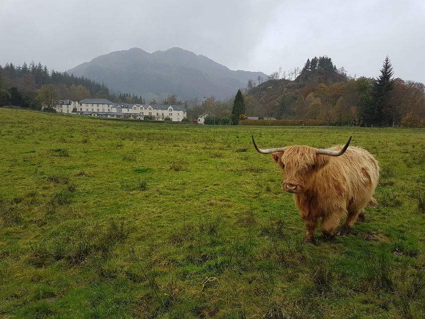 Greenock: Shore Excursion to Stirling Castle and Loch Lomond - Why Stirling Castle carries this eight-hour outing
