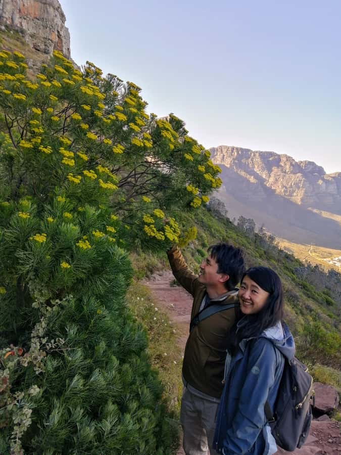 Guided Table Mountain Hike – Kasteelspoort Scenic Route - Fitness, clothing, and weather
