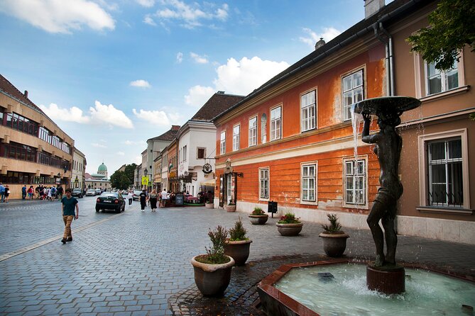 Guided Tour in Budapest Castle District - Sándor Palace and the changing of the guard