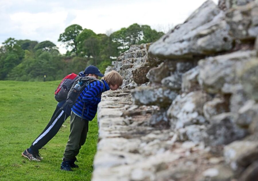 Hadrian's Wall: Birdoswald Roman Fort Entry Ticket - Key things to know before visiting