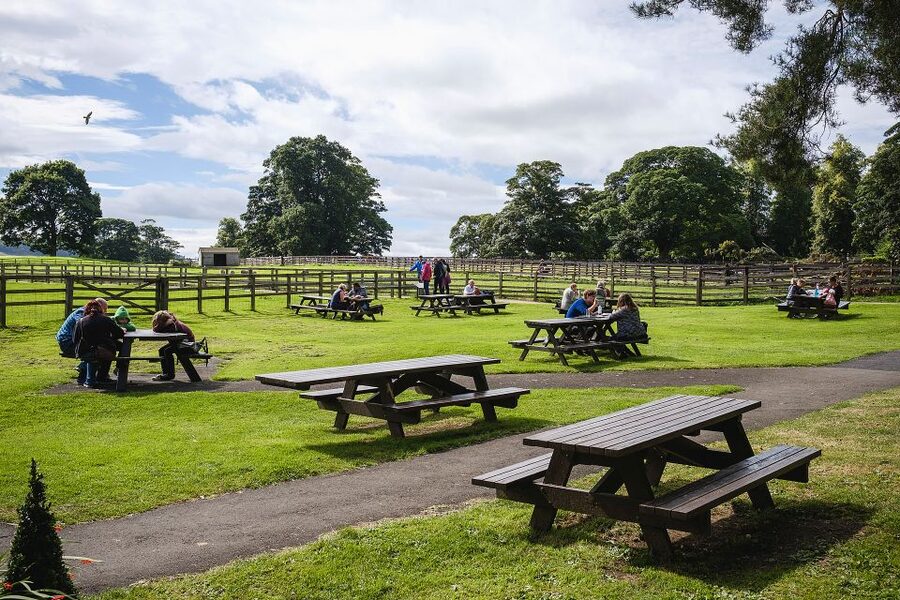 Hadrian's Wall: Chesters Roman Fort and Museum Entry Ticket - Who will get the most from Chesters?