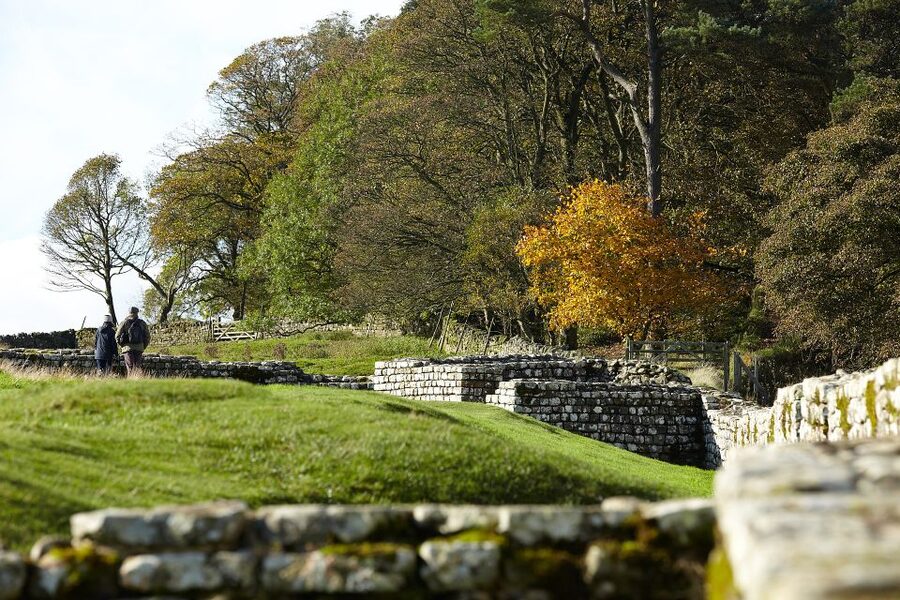 Hadrian's Wall: Housesteads Roman Fort Entry Ticket - Felix and the mini-cinema bring the buildings back