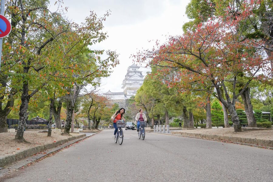 Half-day Himeji Castle Town Bike Tour with Lunch - Who Will Enjoy This Tour Most