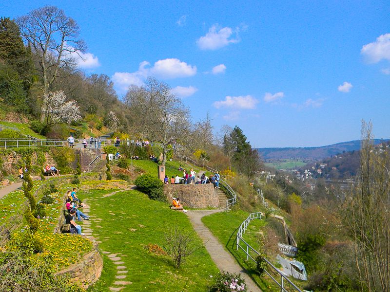 Heidelberg Castle Tour: Residence of the Electors - Why Heidelberg Castle deserves a guided visit