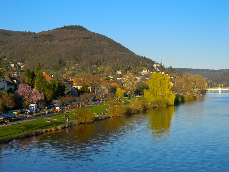 Heidelberg Castle Tour: Residence of the Electors - The former Hortus Palatinus gardens