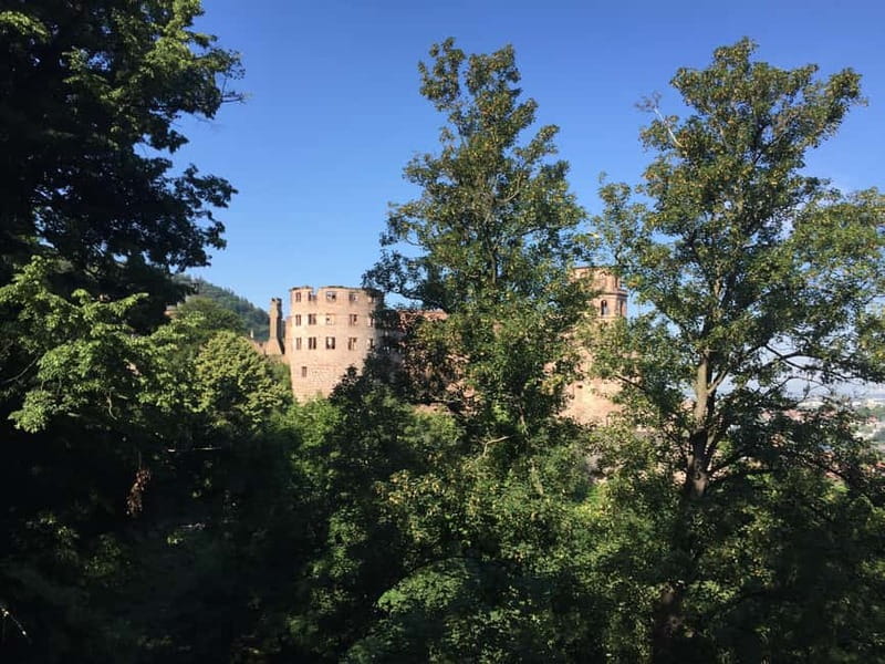 Heidelberg: Discover Heidelberg Castle – experience history up close - What the $46 price covers