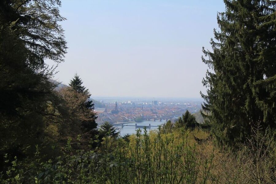 Heidelberg Highlights Segway Tour with Castle - From Neckarmünzplatz across the Old Bridge