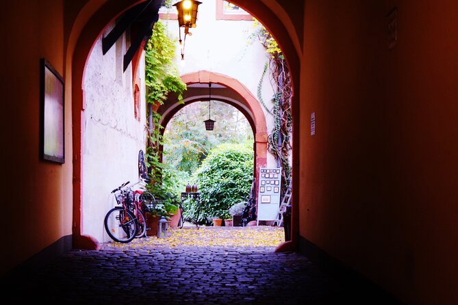 Heidelberg: Old Town Tour Including Castle Visit - The Philosopher’s Trail and Heidelberg from above the river